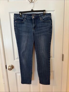 The Limited Straight Leg, Stretch Denim Jeans, Size 12